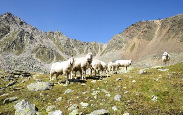 Jagd - Chalet - Photo 38