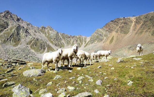 Appartement Mont Blanc - Photo 46