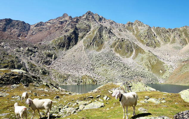 Appartement Mont Blanc - Photo 49